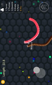 Slither Snake 2017游戏截图5