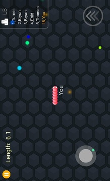Slither Snake 2017游戏截图2
