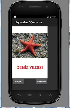 çocuk oyunları Türkçe hayvan游戏截图1