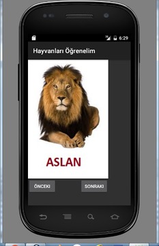 çocuk oyunları Türkçe hayvan游戏截图2