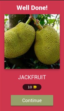Fruit Guess游戏截图4