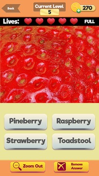 Zoom Trivia - Food Edition游戏截图2