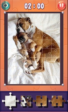 Dog Jigsaw Puzzles游戏截图5