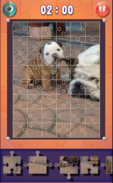 Dog Jigsaw Puzzles游戏截图4