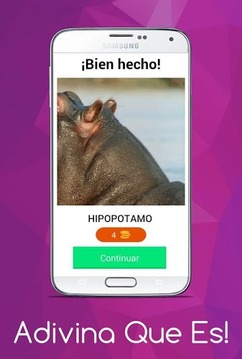 Adivina Que Es!游戏截图5