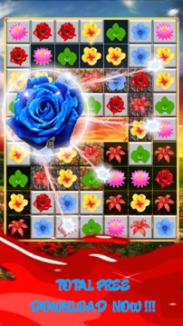 Blossom Crush Garden游戏截图1