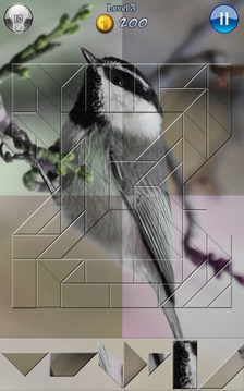 Hidden Pieces: Winter Birding游戏截图4