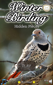 Hidden Pieces: Winter Birding游戏截图1