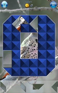 Hidden Pieces: Winter Birding游戏截图5