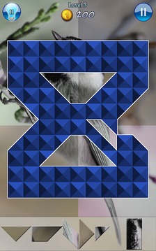 Hidden Pieces: Winter Birding游戏截图3