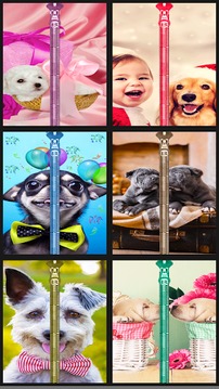 Cute Puppy Lock Screen Prank游戏截图1