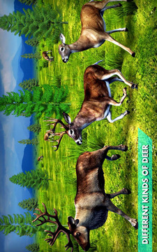 鹿狩猎冒险游戏截图5