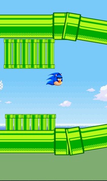 Floppy Sonic Bird Angry游戏截图5