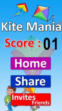 Kite mania for kites lover游戏截图3