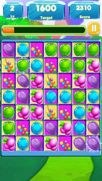 Fruit Splash Link游戏截图5