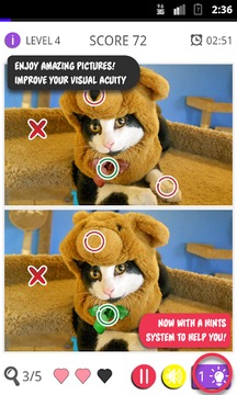 Differences: Cats & Kittens游戏截图3