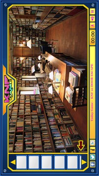 Can You Escape Royal Library 3游戏截图1
