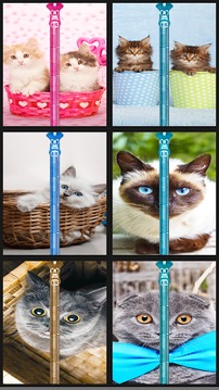 Cat Zipper Lock Screen Prank游戏截图1