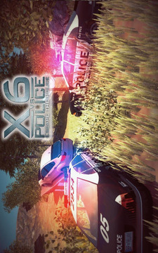 X6 Vs Police游戏截图1