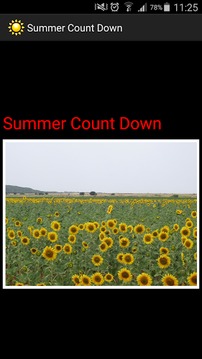 summer countdown游戏截图1