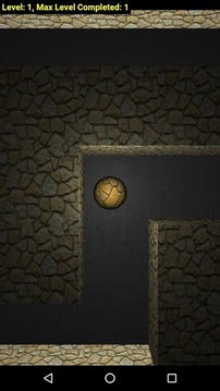 DARK-MAZE-3D游戏截图2