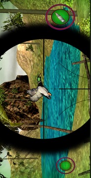 Extreme Jungle Birds Hunting游戏截图1