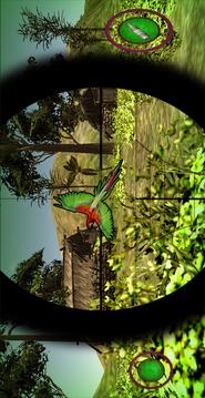 Extreme Jungle Birds Hunting游戏截图5