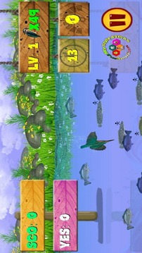 Fish hunting bird游戏截图4