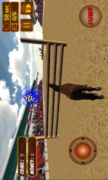 Horse Simulator 2017游戏截图5