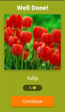 Flowers Quiz Trivia游戏截图2