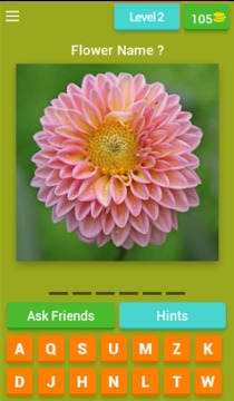 Flowers Quiz Trivia游戏截图3