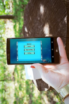 Angry shark Hunting游戏截图2