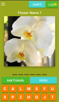 Flowers Quiz Trivia游戏截图4