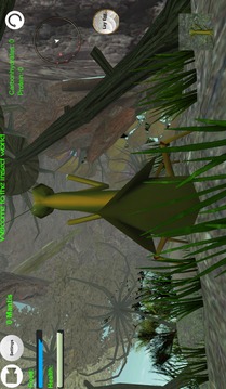 Praying Mantis Simulator 3D游戏截图3