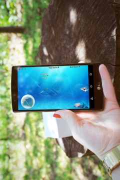 Angry shark Hunting游戏截图3