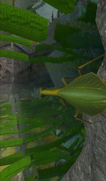 Praying Mantis Simulator 3D游戏截图2