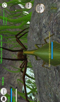 Praying Mantis Simulator 3D游戏截图1