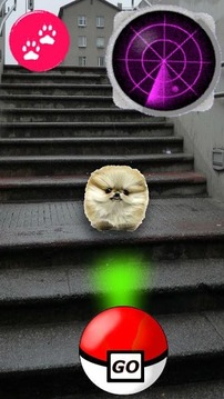 Pocket Puppy GO游戏截图3