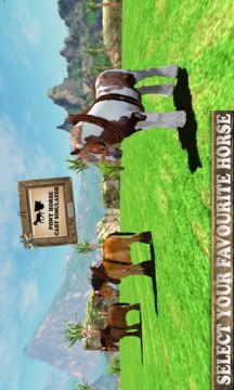 Pony Horse Cart Simulator 3D游戏截图1