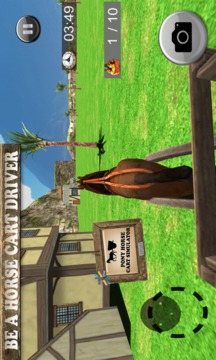Pony Horse Cart Simulator 3D游戏截图5