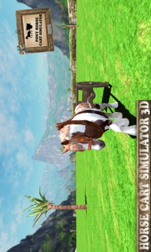 Pony Horse Cart Simulator 3D游戏截图2