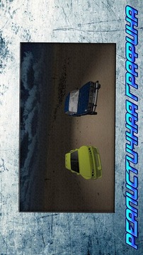 Russian Rally Lada 3D游戏截图3