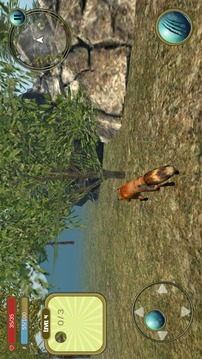 Wild Fox Survival 3d Simulator游戏截图3