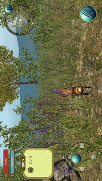 Wild Fox Survival 3d Simulator游戏截图4