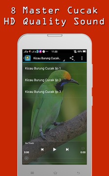 Kicau burung Cucak Rowo Mp3游戏截图2