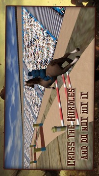 Horse Racing Jump Simulation游戏截图2