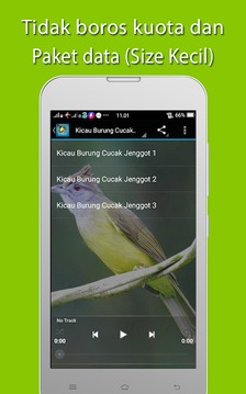 Kicau burung Cucak Rowo Mp3游戏截图4