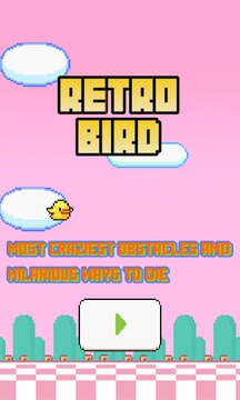 RETRO BIRD游戏截图1