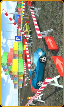 Driving License Parking Test游戏截图2