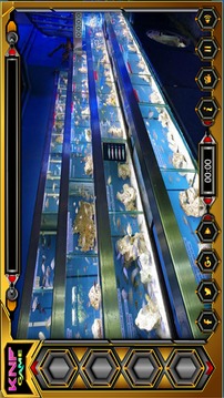 Can You Escape From Fish Shop游戏截图3